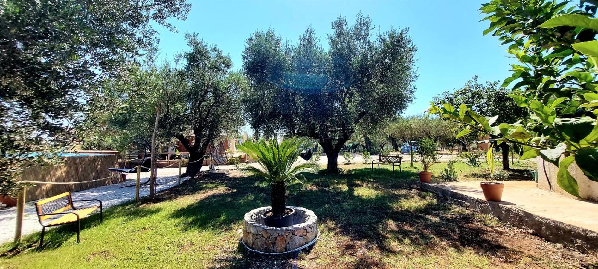 Parco Esmeralda - Family Residence E Breakfast Marina di Camerota Exterior photo